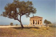 Consordio-tempel. Sicilien 1979